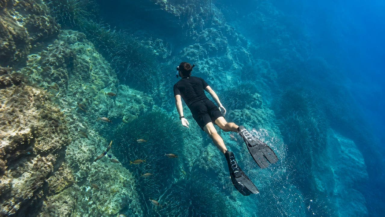 Elba snorkeling: fondamentali per esplorare i fondali