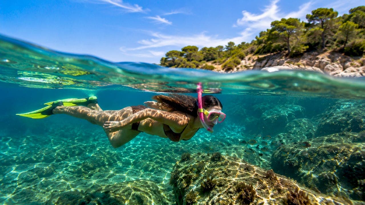 Fare snorkeling a Elba: fondali e siti migliori 2026
